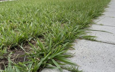 How to Control Grass Runners with EverEdge