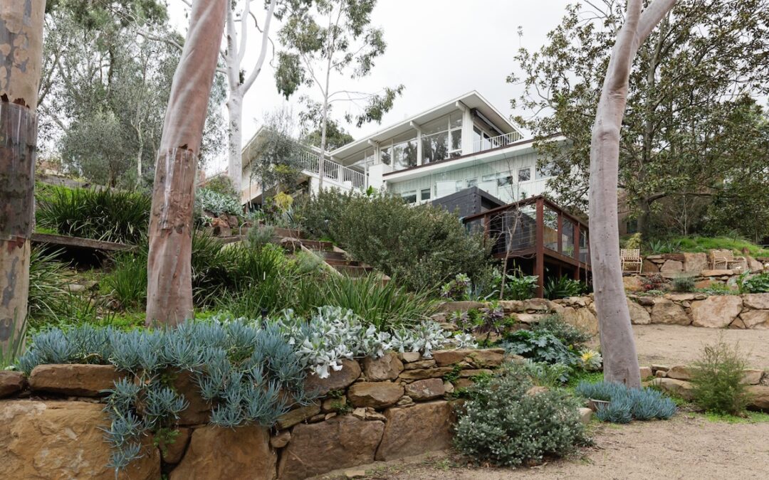 Australian Gardening Trends for 2026