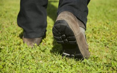 How EverEdge Protects Your Lawn from Heavy Foot Traffic