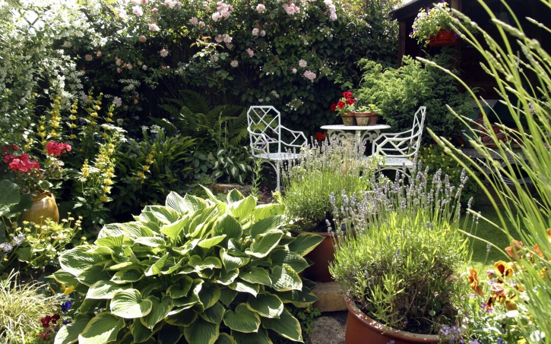 Top Tips for Compact Garden Design